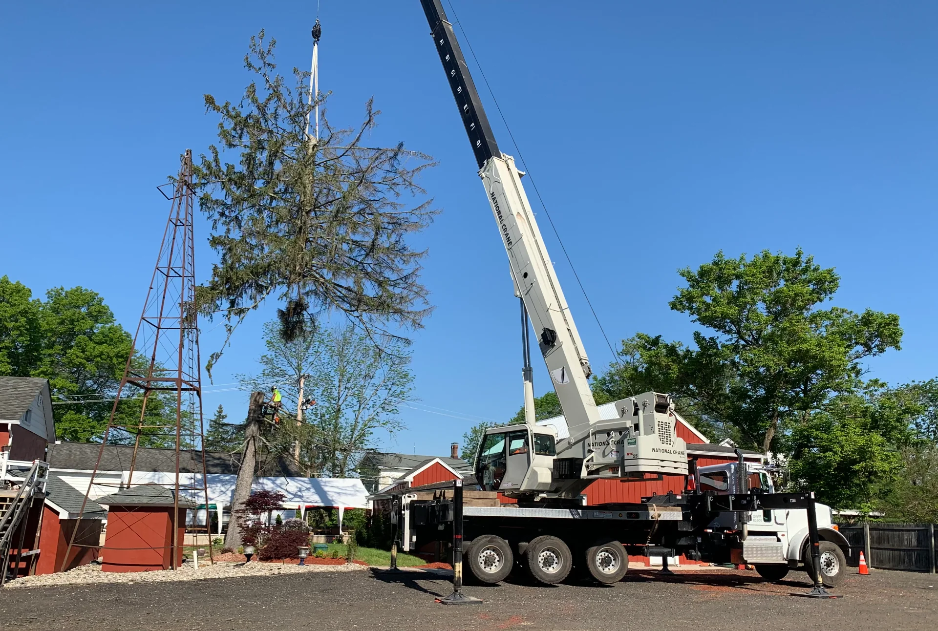 crane  assisted Tree removal