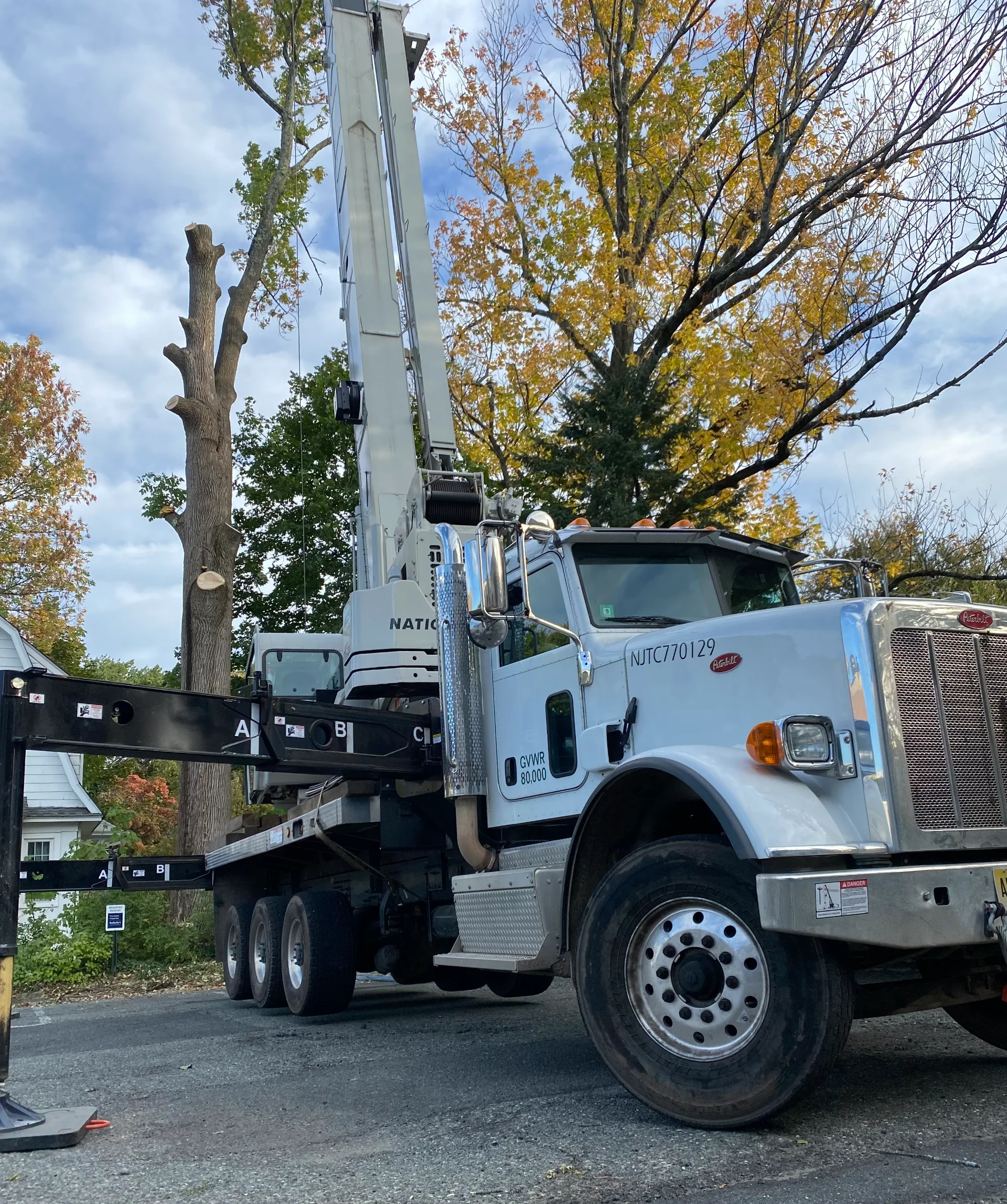 Crane assisted tree removal