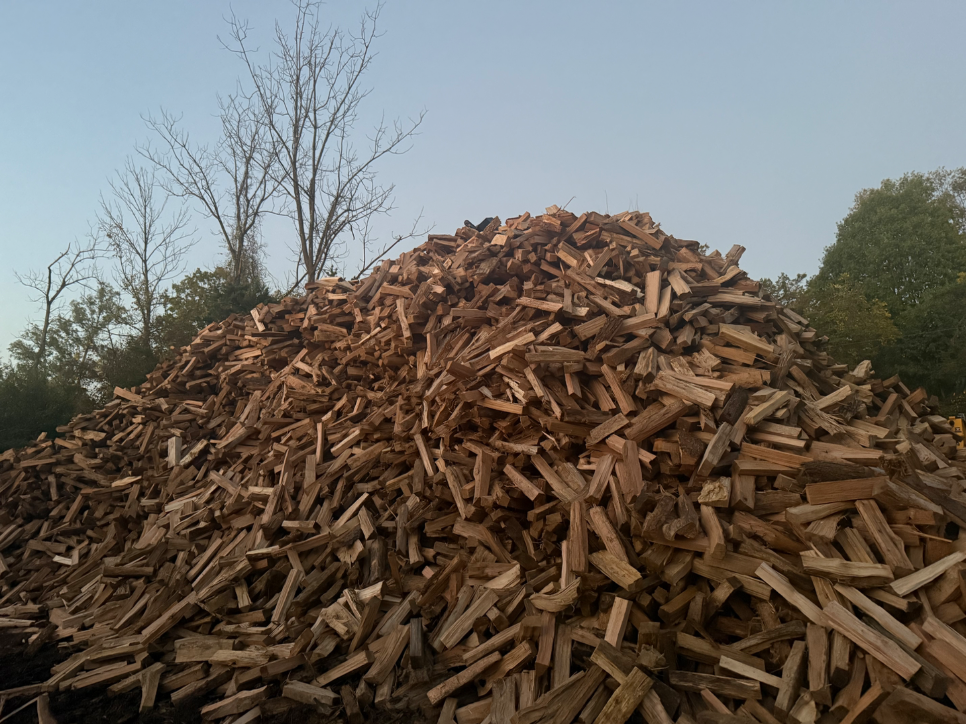 Seasoned Firewood